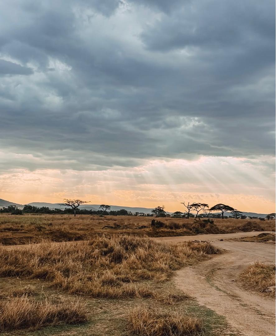 Best Time to Visit the Serengeti: Seasonal Guide